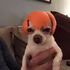 Colette Brett ﻻ - @colette.brett - TikTok