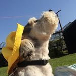Colette Casey - @colette.casey.7 - Instagram