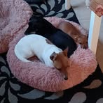 Colette Craig - Facebook