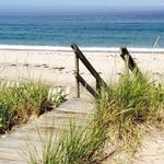 Colette Farrell-Wetherell - @farrellwetherell - Instagram