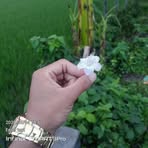 Hiper Khiladi - Facebook