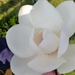 Colette Jones - @jonescolette2005 - Instagram