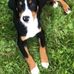Colette Steffenhagen - Facebook