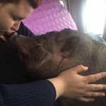 Margot Colette Lange - @shrimphony - Instagram