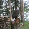 colettelynn2 - @colettelynn2 - TikTok