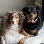 Colette McMahon - @colette9000 - Instagram