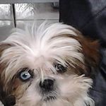 Colette Morand - @colette.morand.716 - Instagram