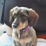 Colette Petit - @colette.petit - Instagram