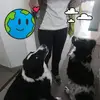 Colette Petit - @colette.petit0 - TikTok