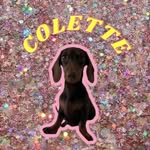 Colette petit teckel 🧸 - @coletteclub_ - Instagram