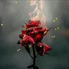 ColettePilon - @donlusumk02 - TikTok