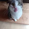 Colette Pleger - @colette.pleger - TikTok