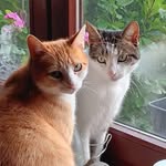 Pleger Colette - @plegercolette - Instagram