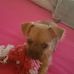 Colette Poole - Facebook