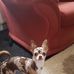 Colette Poole - Facebook