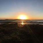 Colette Olivia Potter - @colettepotter70 - Instagram