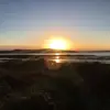 Colette Olivia Potter - @colette.olivia.po - TikTok