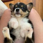 Colette Potter - @col_ette_potter - Instagram