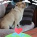 Colette Potter - Facebook