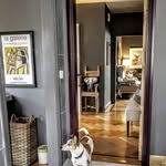 Colette Power - @homewithpower - Instagram
