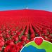 Pratap Kalita - Facebook