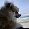 colette.princess - @colette.princess - TikTok