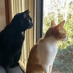 Queen Colette And Prince Garbanzo - @queenc_and_princeg - Instagram