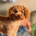 Colette - @colette_is_the_queen - Instagram