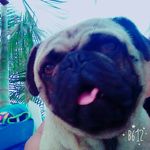 ashley colette vazquez ramos - @coletteramos_ - Instagram
