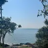 ColetteRamos - @aisogacn166 - TikTok