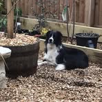 Colette Rankin - Facebook