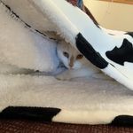 Colette Reed - @reed2309 - Instagram