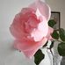 Colette Renard - Facebook