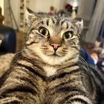 Colette Richter - @cocolou68 - Instagram