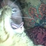 Colette Rogers - @c_b_rogers - Instagram