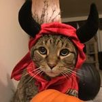 Colette Royer - @coopercaseville - Instagram