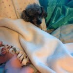 Colette Ruppert - @auntie_colette_is_cool - Instagram