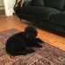 Colene Rutherford - Facebook