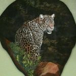 Colette Schaefer - @hatrinc - Instagram