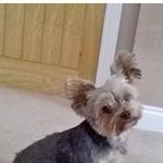 Colette Thomas - @colette6246 - Instagram