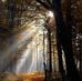Colette Thomas - Facebook