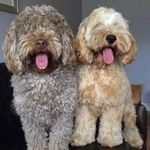 Colette Ward - @coletteward12 - Instagram