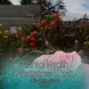 coletteward559 - @coletteward559 - TikTok