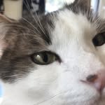 Colin arnold - @colinarnold595 - Instagram