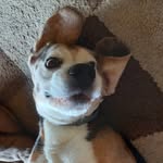 Colin Arnold - @colin_arnold282 - Instagram