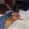 Colin Arnold - @colin.arnold1 - TikTok