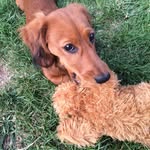 Colin Barber - @colinthedash - Instagram