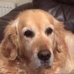 Colin Barber - @colin.barber.397 - Instagram