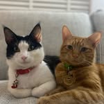 Colin & Barry - @colinandbarry - Instagram