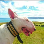 Colin Barry - @colinbarry4466 - Instagram